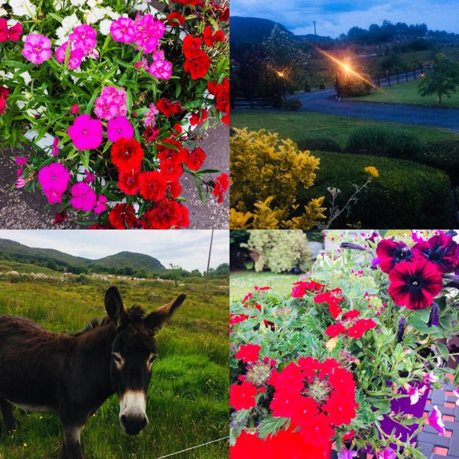 Hillcrest Farmhouse Bed & Breakfast Boyhollagh Buitenkant foto