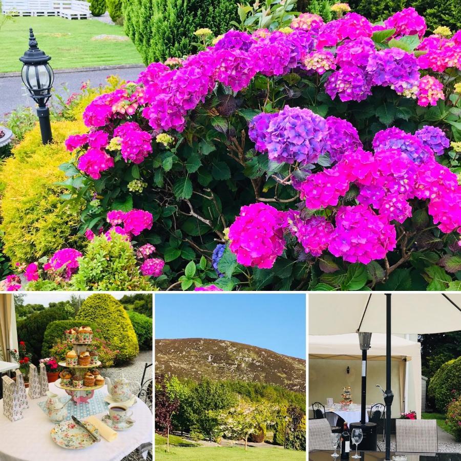 Hillcrest Farmhouse Bed & Breakfast Boyhollagh Buitenkant foto